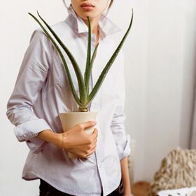 植物調査の業者